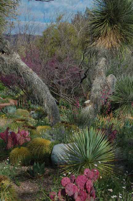 in the Demonstration Garden